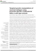 Cover page: Targeted genetic manipulations of neuronal subtypes using promoter-specific combinatorial AAVs in wild-type animals.