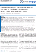 Cover page: Caenorhabditis elegans chromosome arms are anchored to the nuclear membrane via discontinuous association with LEM-2