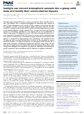 Cover page: Sunlight can convert atmospheric aerosols into a glassy solid state and modify their environmental impacts.