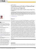 Cover page: Three Dimensional Culture of Human Renal Cell Carcinoma Organoids