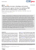 Cover page: RhoA signaling increases mitophagy and protects cardiomyocytes against ischemia by stabilizing PINK1 protein and recruiting Parkin to mitochondria