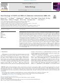 Cover page: Dual blockage of STAT3 and ERK1/2 eliminates radioresistant GBM cells