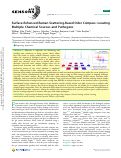 Cover page: Surface-Enhanced Raman Scattering-Based Odor Compass: Locating Multiple Chemical Sources and Pathogens