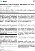 Cover page: Emerging functional principles of tRNA-derived small RNAs and other regulatory small RNAs.