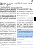 Cover page: Epidemics as an adaptive driving force determining lifespan setpoints