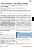 Cover page: Steady agronomic and genetic interventions are essential for sustaining productivity in intensive rice cropping