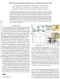 Cover page: Rapidly Enhanced Spin-Polarization Injection in an Optically Pumped Spin Ratchet