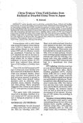 Cover page: Citrus Tristeza Virus Field Isolates from Declined or Dwarfed Citrus Trees in Japan