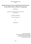 Cover page: Spatial Awareness: how Cells Respond and Control Extracellular Matrix Stiffness Topography