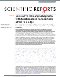 Cover page: Correlative cellular ptychography with functionalized nanoparticles at the Fe L-edge