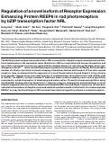 Cover page: Regulation of a novel isoform of Receptor Expression Enhancing Protein REEP6 in rod photoreceptors by bZIP transcription factor NRL