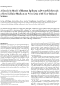 Cover page: A Knock-In Model of Human Epilepsy in Drosophila Reveals a Novel Cellular Mechanism Associated with Heat-Induced Seizure