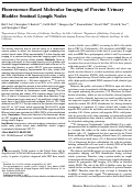 Cover page: Fluorescence-Based Molecular Imaging of Porcine Urinary Bladder Sentinel Lymph Nodes.