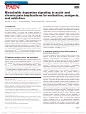 Cover page: Mesolimbic dopamine signaling in acute and chronic pain