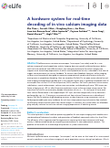 Cover page: A hardware system for real-time decoding of in vivo calcium imaging data.