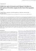 Cover page: NMDA receptor activation and calpain contribute to disruption of dendritic spines by the stress neuropeptide CRH.