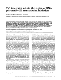 Cover page: Ty3 integrates within the region of RNA polymerase III transcription initiation.