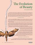 Cover page: The Evolution of Beauty