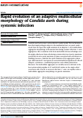Cover page: Rapid evolution of an adaptive multicellular morphology of Candida auris during systemic infection