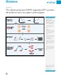 Cover page: The deubiquitinase USP9X regulates RIT1 protein abundance and oncogenic phenotypes.