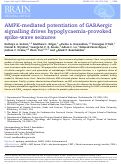 Cover page: AMPK-mediated potentiation of GABAergic signalling drives hypoglycaemia-provoked spike-wave seizures