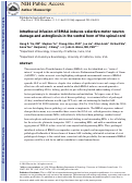 Cover page: Intrathecal infusion of BMAA induces selective motor neuron damage and astrogliosis in the ventral horn of the spinal cord.