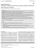 Cover page: Changes in arginase isoforms in a murine model of neonatal brain hypoxia–ischemia