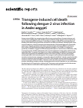 Cover page: Transgene-induced cell death following dengue-2 virus infection in Aedes aegypti