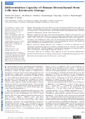 Cover page: Differentiation Capacity of Human Mesenchymal Stem Cells into Keratocyte Lineage