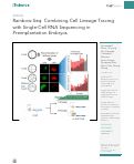 Cover page: Rainbow-Seq: Combining Cell Lineage Tracing with Single-Cell RNA Sequencing in Preimplantation Embryos