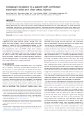 Cover page of Collateral circulation in a patient with combined traumatic radial and ulnar artery injuries.