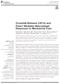 Cover page: Crosstalk Between CD11b and Piezo1 Mediates Macrophage Responses to Mechanical Cues