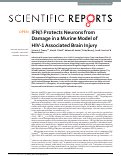 Cover page: IFNβ Protects Neurons from Damage in a Murine Model of HIV-1 Associated Brain Injury