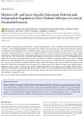 Cover page: Distinct Cell- and Layer-Specific Expression Patterns and Independent Regulation of Kv2 Channel Subtypes in Cortical Pyramidal Neurons