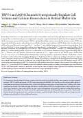 Cover page: TRPV4 and AQP4 Channels Synergistically Regulate Cell Volume and Calcium Homeostasis in Retinal Müller Glia