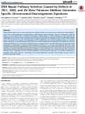 Cover page: DNA Repair Pathway Selection Caused by Defects in TEL1, SAE2, and De Novo Telomere Addition Generates Specific Chromosomal Rearrangement Signatures