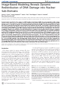 Cover page: Image-Based Modeling Reveals Dynamic Redistribution of DNA Damage into Nuclear 
Sub-Domains