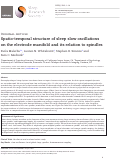 Cover page: Spatio-temporal structure of sleep slow oscillations on the electrode manifold and its relation to spindles.