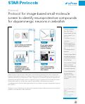 Cover page: Protocol for image-based small-molecule screen to identify neuroprotective compounds for dopaminergic neurons in zebrafish.