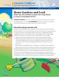 Cover page: Home Gardens and Lead