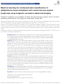 Cover page: Machine learning for semi-automated classification of glioblastoma, brain metastasis and central nervous system lymphoma using magnetic resonance advanced imaging.