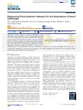 Cover page: Engineering Plant Synthetic Pathways for the Biosynthesis of Novel Antifungals