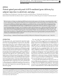 Cover page: Potent spinal parenchymal AAV9-mediated gene delivery by subpial injection in adult rats and pigs