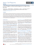 Cover page: In&nbsp;Vitro Propagation and Branching Morphogenesis from Single Ureteric Bud&nbsp;Cells