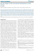 Cover page: On the Origin of the Functional Architecture of the Cortex
