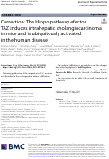 Cover page: Correction: The Hippo pathway efector TAZ induces intrahepatic cholangiocarcinoma in mice and is ubiquitously activated in the human disease