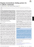 Cover page: Mapping transmembrane binding partners for E-cadherin ectodomains