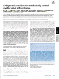 Cover page: Collagen microarchitecture mechanically controls myofibroblast differentiation