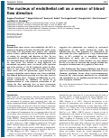 Cover page: The nucleus of endothelial cell as a sensor of blood flow direction.