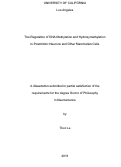 Cover page: Regulation of DNA Methylation and Hydroxymethylation in Postmitotic Neurons and Other Mammalian Cells